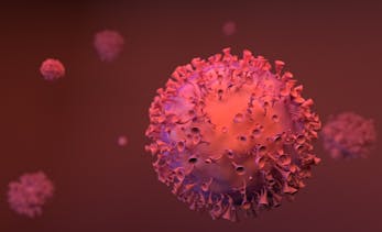 Corruption And The Coronavirus News Transparency Org